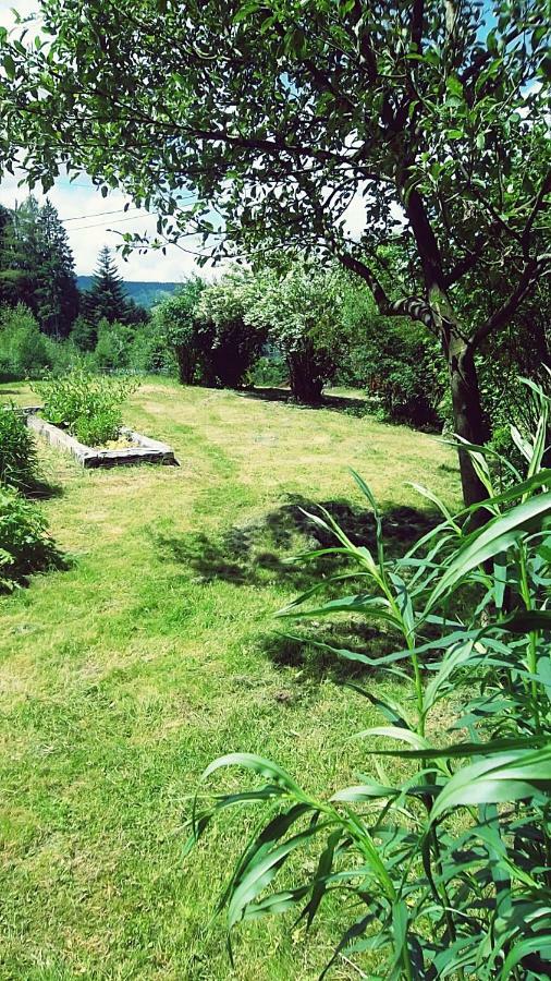 La Boissellerie Hotel Saulxures-sur-Moselotte Екстериор снимка