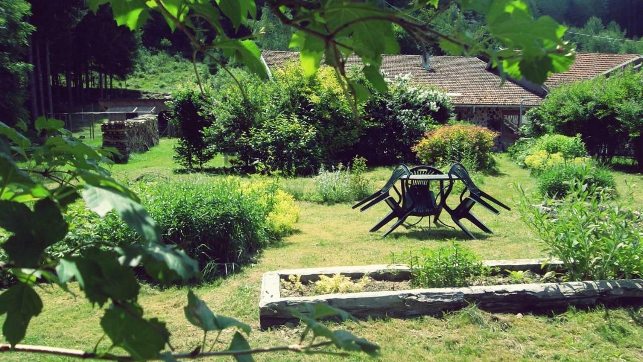 La Boissellerie Hotel Saulxures-sur-Moselotte Екстериор снимка